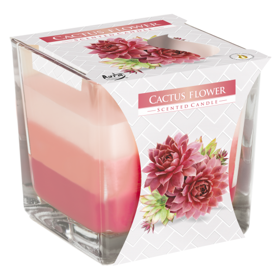 Bougie en pot arc-en-ciel - Fleur de cactus