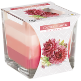 Bougie en pot arc-en-ciel - Fleur de cactus