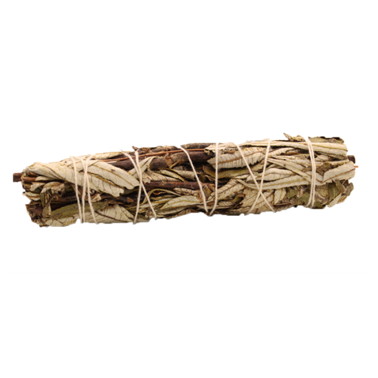 Bâton de maculage - Sauge noire 15 cm
