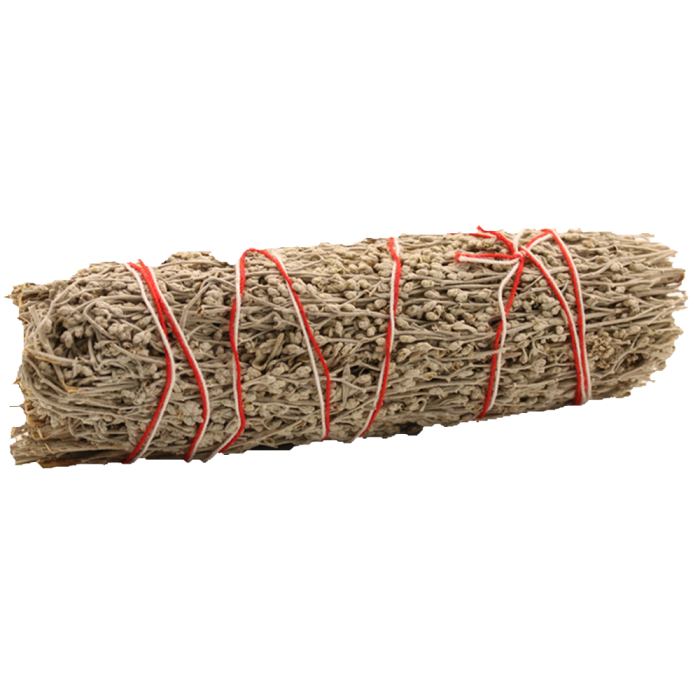Bâton de maculage - Sauge noire 22,5 cm