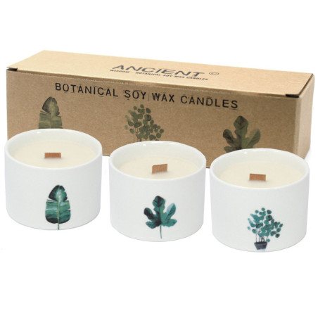 Bougies botaniques Med - Chèvrefeuille citronné
