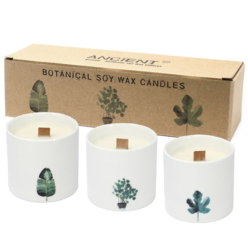 Grandes bougies botaniques - Jasmin sauvage