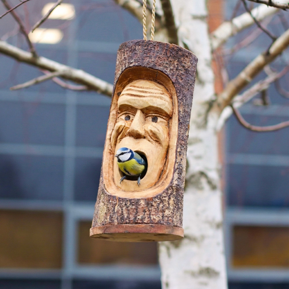 Visage de tronc d'arbre - Nichoir - Vieil homme grincheux