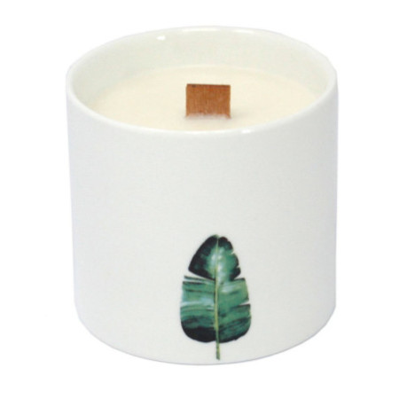 Grandes bougies botaniques - Jasmin sauvage