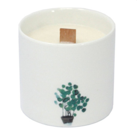 Grandes bougies botaniques - Jasmin sauvage