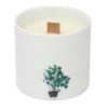 Grandes bougies botaniques - Jasmin sauvage