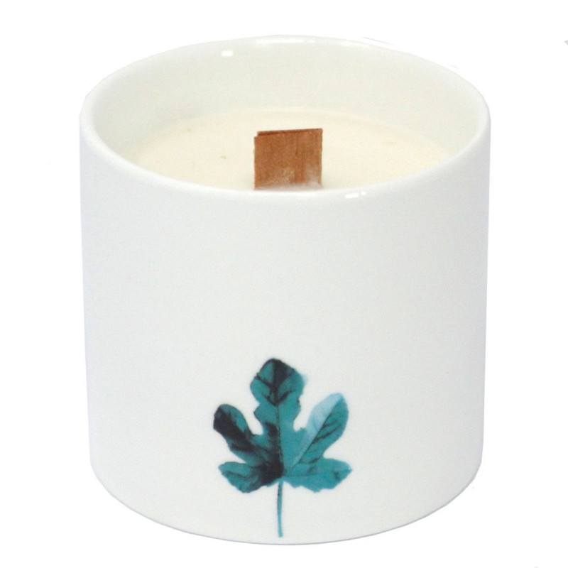 Grandes bougies botaniques - Jasmin sauvage