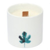 Grandes bougies botaniques - Jasmin sauvage