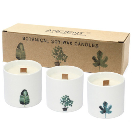 Grandes bougies botaniques - Violette des marais