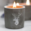 Bougie de soja en béton Med - Tête de cerf - Whisky et fumée de bois