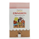 Bâtonnets de résine de fumigation à la cannelle dorée - 30 g