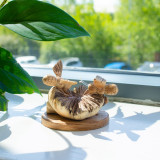 Sculpture artisanale en bois représentant des parasites - Abeilles en cours de réalisation