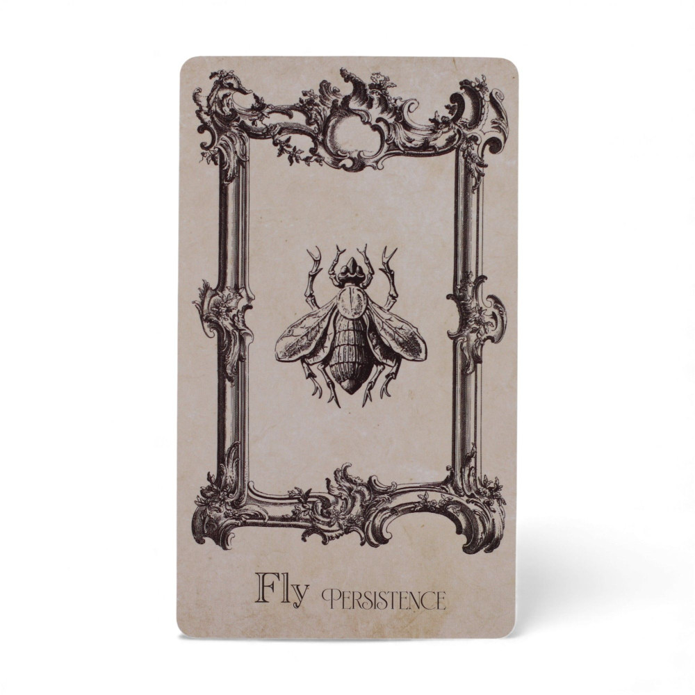 Le Grimoire - Cartes Oracle de Sorcellerie