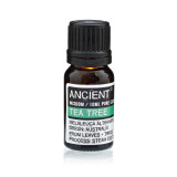 Coffret d'huiles essentielles de lavande, d'arbre à thé et de romarin - 10 ml chacune
