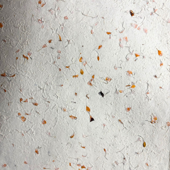 Papier cadeau Lokta (51 x 76 cm) - Souci