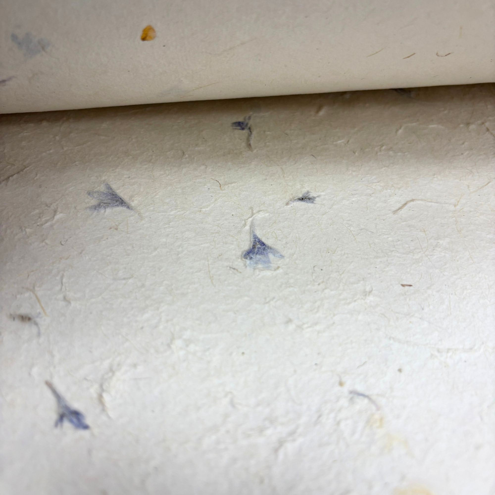 Papier cadeau et loisirs créatifs Lokta 51 x 76 cm - Pétale de bleuet