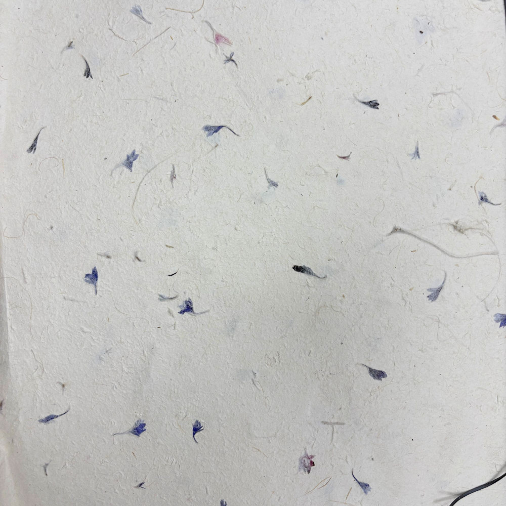 Papier cadeau et loisirs créatifs Lokta 51 x 76 cm - Pétale de bleuet