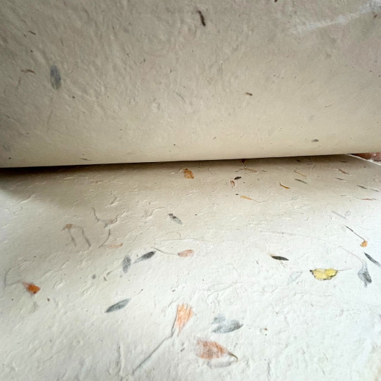 Papier d'emballage et de loisirs créatifs Lokta 51 x 76 cm - Coton à motifs floraux variés