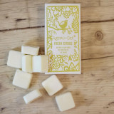 Coffret de 8 Fondants Parfumés Agnes + Cat - Agrumes Frais