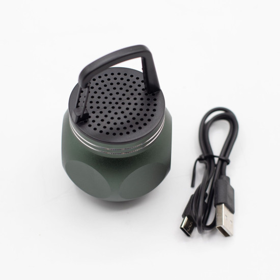 Mini-enceinte verte avec crochet de camping
