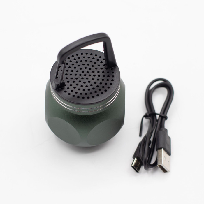 Mini-enceinte verte avec crochet de camping