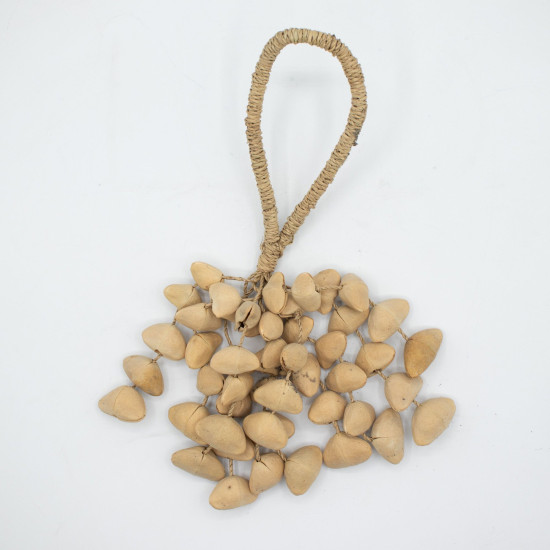 Kenari Shell Long Hottle (50 coquilles)