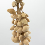 Kenari Shell Long Hottle (50 coquilles)