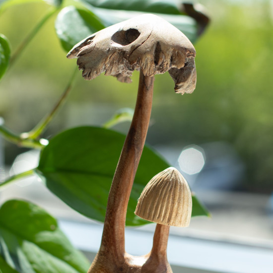 Sculpture artisanale en bois représentant un parasite - Ensemble de deux champignons