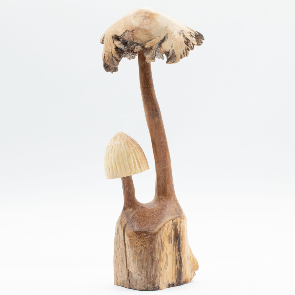 Sculpture artisanale en bois représentant un parasite - Ensemble de deux champignons