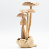 Sculpture artisanale en bois représentant des parasites - Ensemble de 4 grands champignons