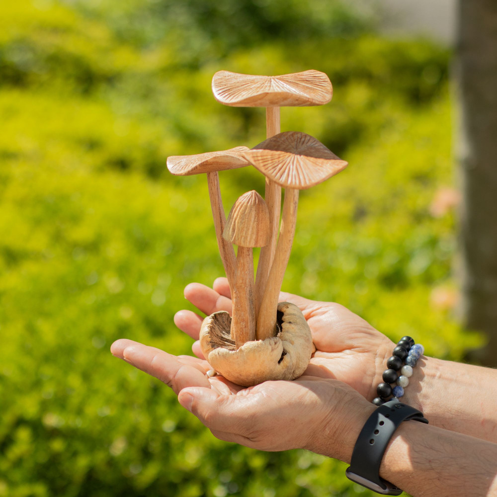 Sculpture artisanale en bois représentant des parasites - Ensemble de 4 grands champignons