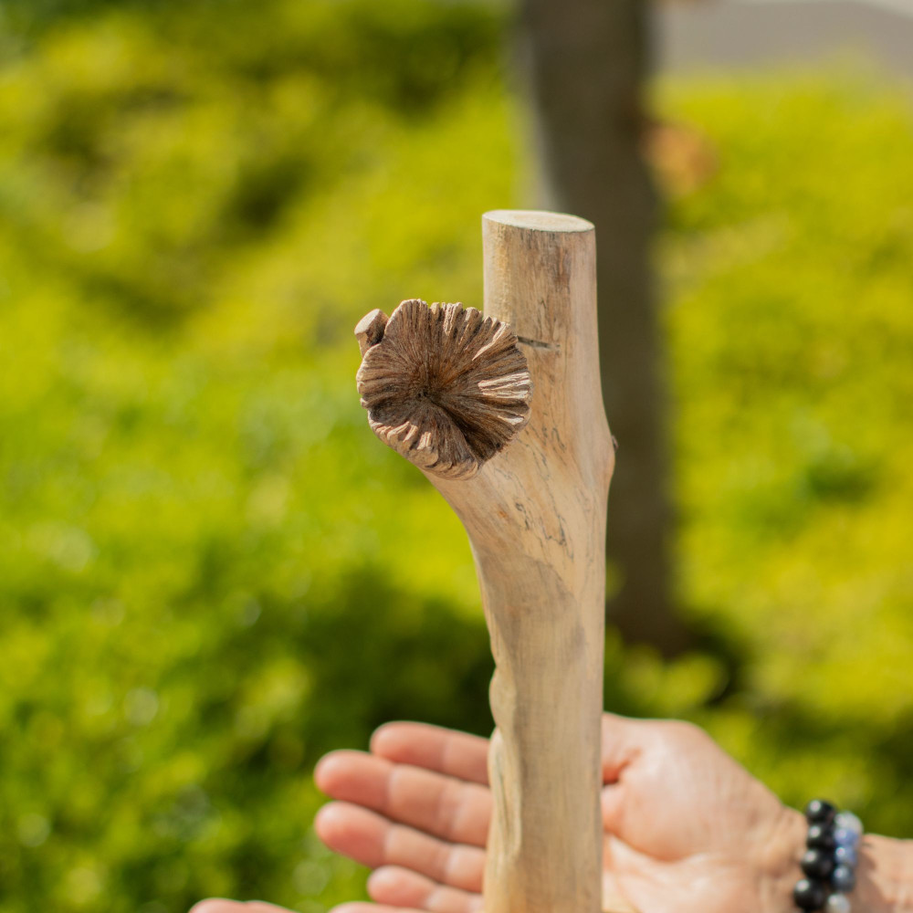 Sculpture artisanale en bois représentant un parasite - Greenman