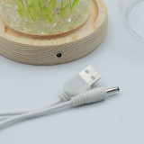 Dôme de jardin lumineux à fleurs - 20 tulipes - LED USB