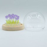 Dôme de jardin lumineux à fleurs - 20 tulipes - LED USB