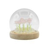 Dôme de jardin lumineux à fleurs - 10 roses roses - LED USB