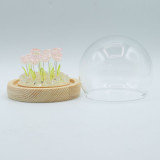 Dôme de jardin lumineux à fleurs - 10 roses roses - LED USB