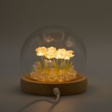 Dôme de jardin lumineux à fleurs - 10 roses roses - LED USB