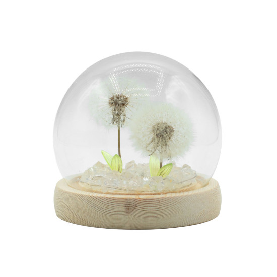 Dôme de jardin lumineux à fleurs - 2 pissenlits - LED USB