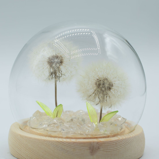 Dôme de jardin lumineux à fleurs - 2 pissenlits - LED USB