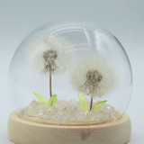 Dôme de jardin lumineux à fleurs - 2 pissenlits - LED USB