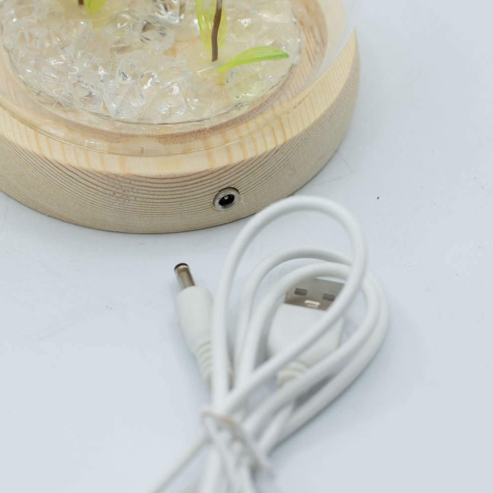Dôme de jardin lumineux à fleurs - 2 pissenlits - LED USB