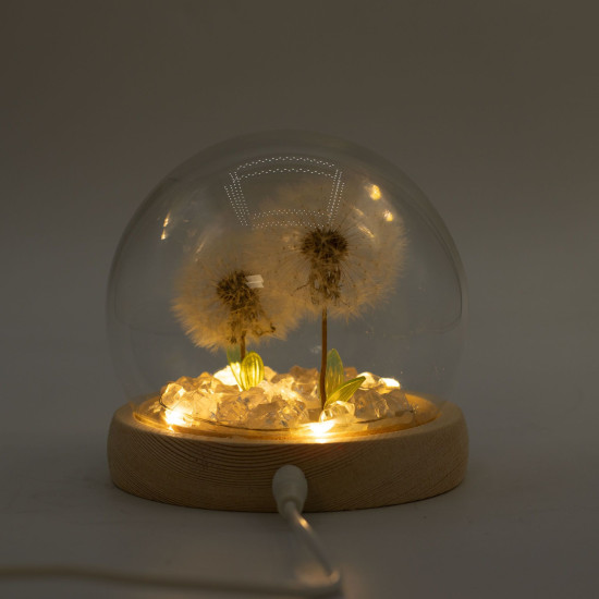 Dôme de jardin lumineux à fleurs - 2 pissenlits - LED USB
