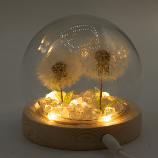 Dôme de jardin lumineux à fleurs - 2 pissenlits - LED USB