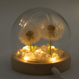 Dôme de jardin lumineux à fleurs - 2 pissenlits - LED USB