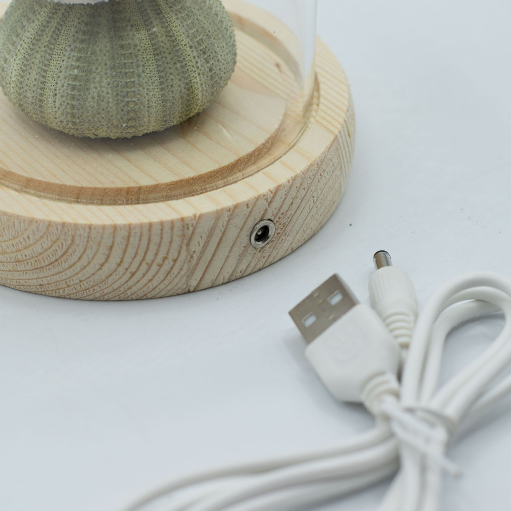 Dôme de jardin lumineux à fleurs - 3 oursins - LED USB