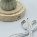 Dôme de jardin lumineux à fleurs - 3 oursins - LED USB