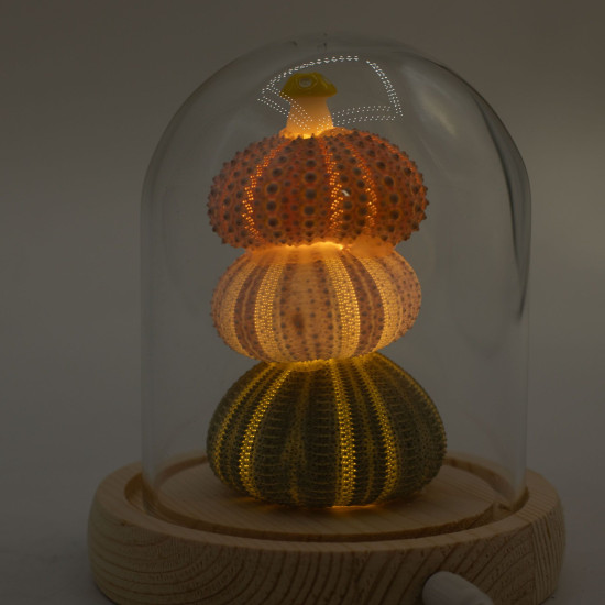 Dôme de jardin lumineux à fleurs - 3 oursins - LED USB