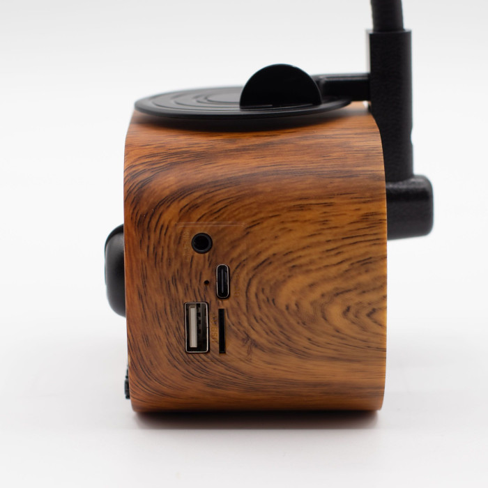 Mini gramophone rétro - Bluetooth et radio FM - 5 watts x 1