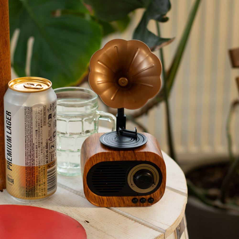 Mini gramophone rétro - Bluetooth et radio FM - 5 watts x 1