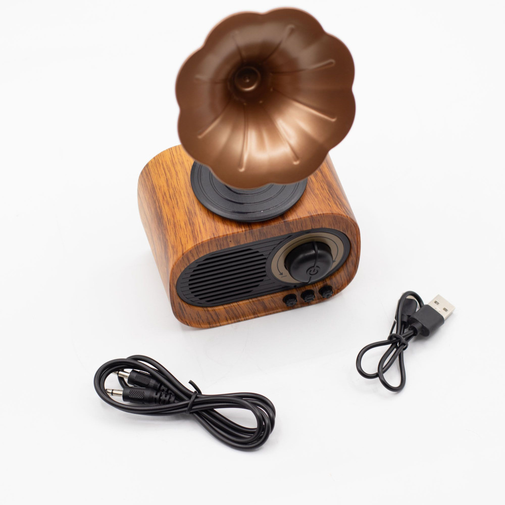 Mini gramophone rétro - Bluetooth et radio FM - 5 watts x 1